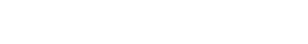SafdStudio